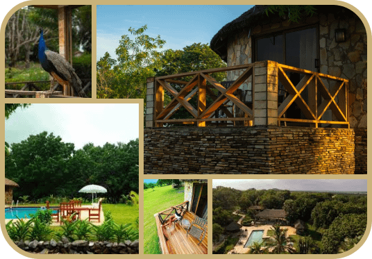 Stone Lodge Collage